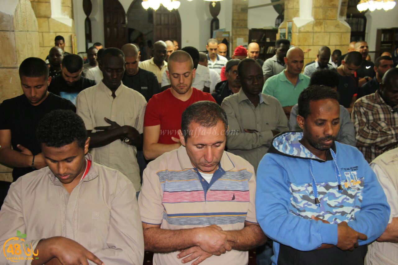 trawe7 salahsaj (13).jpg